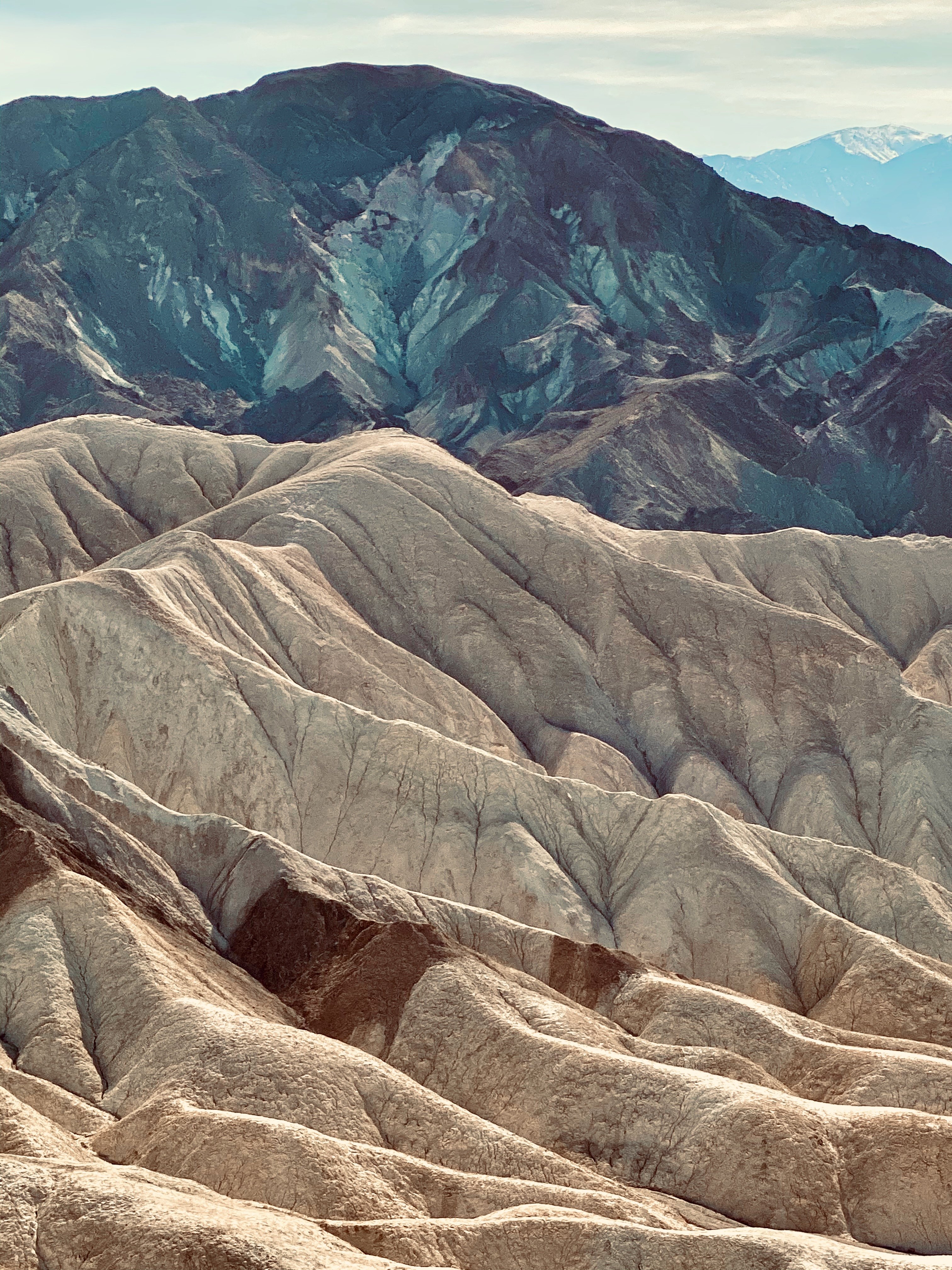 🦜 The Liberal Climate Delusion: Why Euphemism Sustains Mass Death