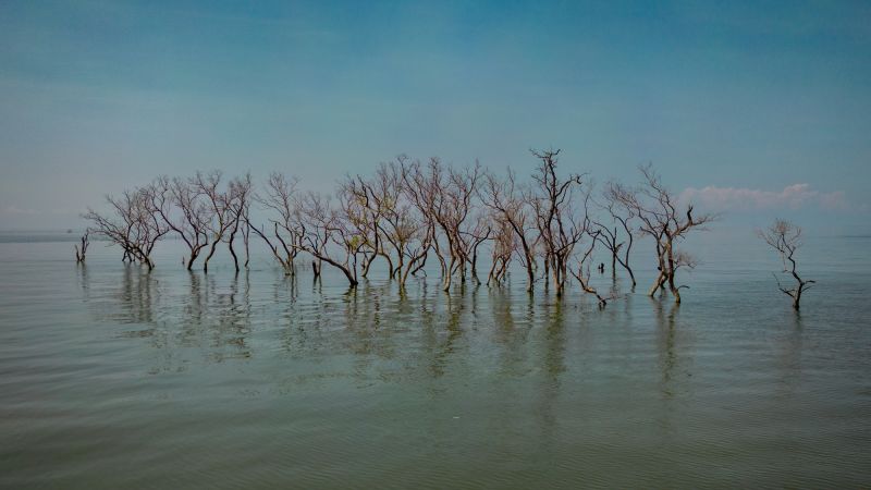 The All-System Iterative Approach (ASIP): Analysing Climate Collapse and Its Human Consequences