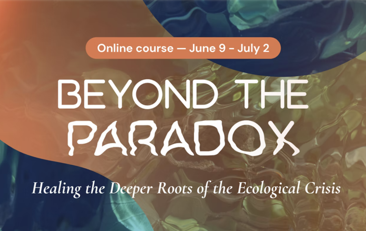 beyond-the-paradox